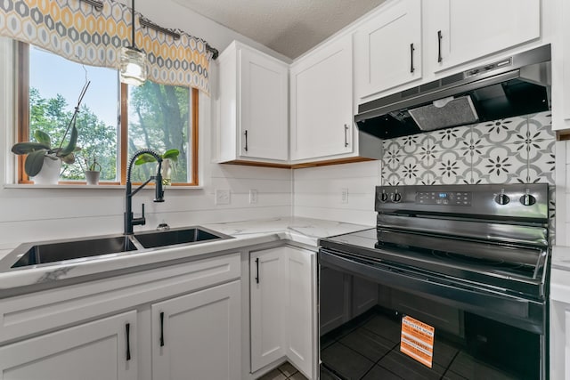 2452 Parkview Ln SE, Rochester, MN 55904 - kitchen featuring black / electric stove, extractor fan, a sink, tasteful backsplash, and white cabinetry