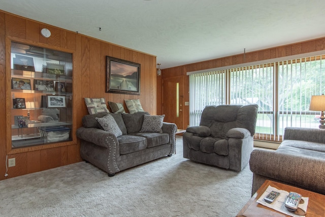 2103 Graydon Ave, Brainerd, MN 56401 - carpeted living area with wood walls and a baseboard heating unit