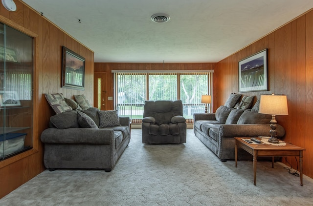 2103 Graydon Ave, Brainerd, MN 56401 - carpeted living room featuring wooden walls