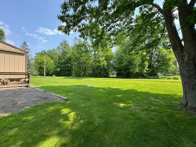 38634 241st St, Aitkin, MN 56431 - view of grassy yard