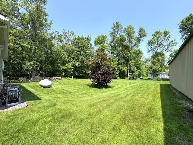 38634 241st St, Aitkin, MN 56431 - view of green lawn