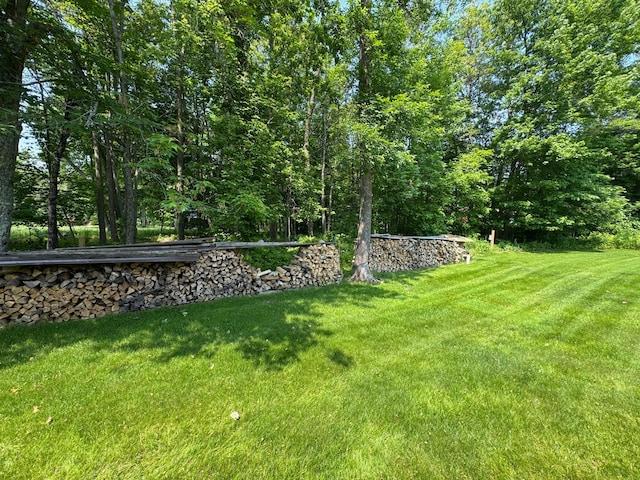 38634 241st St, Aitkin, MN 56431 - view of green lawn