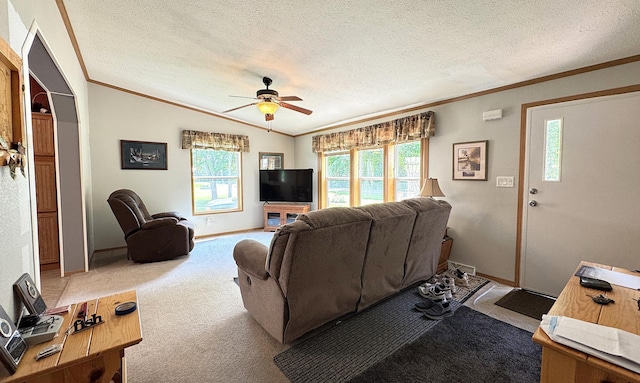 38634 241st St, Aitkin, MN 56431 - living area featuring ornamental molding, healthy amount of natural light, carpet flooring, ceiling fan, and lofted ceiling