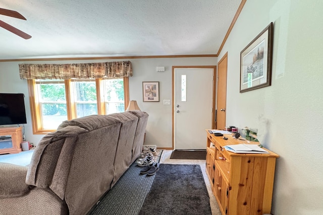 38634 241st St, Aitkin, MN 56431 - carpeted living area with ornamental molding, ceiling fan, and a textured ceiling