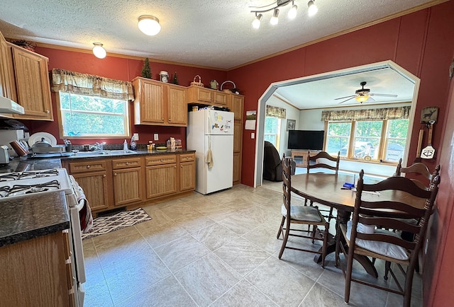 38634 241st St, Aitkin, MN 56431 - kitchen featuring white appliances, a textured ceiling, crown molding, dark countertops, and plenty of natural light