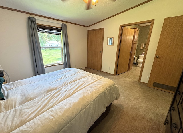 38634 241st St, Aitkin, MN 56431 - bedroom with lofted ceiling, ornamental molding, light colored carpet, a textured ceiling, and connected bathroom