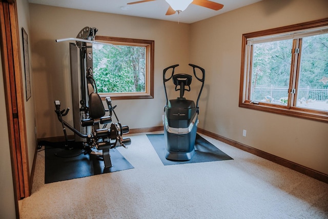 1509 Haller Ct S, Maplewood, MN 55119 - exercise area with ceiling fan and healthy amount of natural light