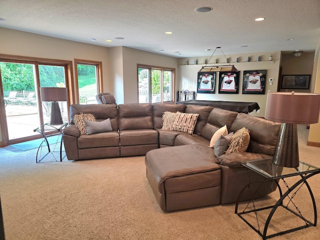 1509 Haller Ct S, Maplewood, MN 55119 - living area featuring carpet flooring, a textured ceiling, and recessed lighting