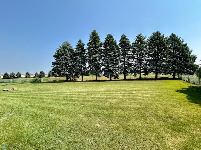 1922 13th Ave N, Moorhead, MN 56560 - view of yard