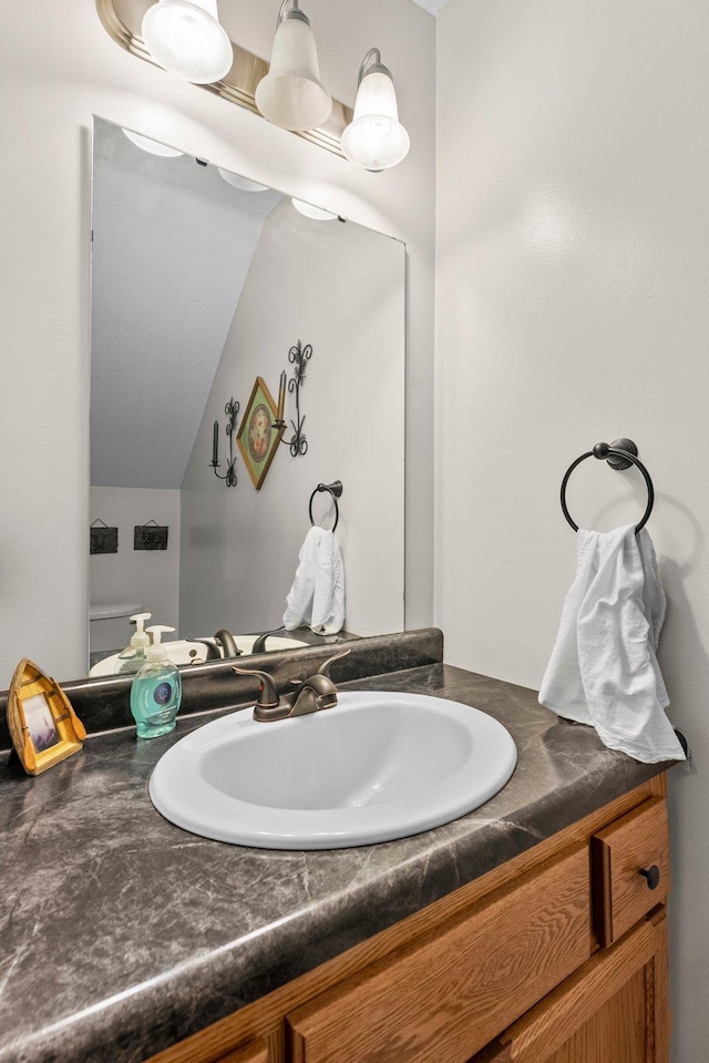 315 Roosevelt St S Unit B, Cambridge, MN 55008 - bathroom with vanity and lofted ceiling
