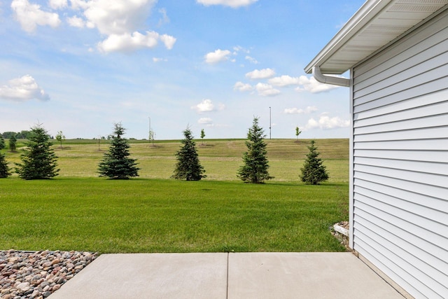 1250 Naser Way, New Richmond, WI 54017 - view of green lawn