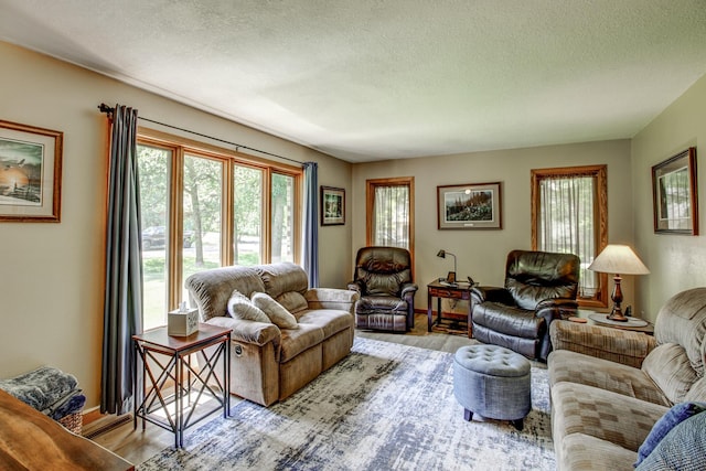 305 Birch Briar Ln, Park Rapids, MN 56470 - living area featuring wood finished floors, plenty of natural light, and a textured ceiling