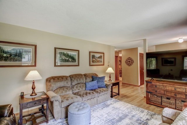 305 Birch Briar Ln, Park Rapids, MN 56470 - living room featuring light wood finished floors