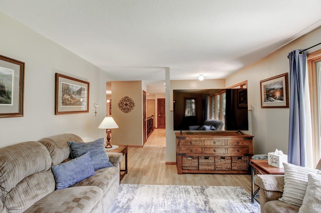 305 Birch Briar Ln, Park Rapids, MN 56470 - living area with light wood-type flooring