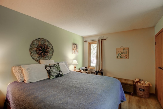 305 Birch Briar Ln, Park Rapids, MN 56470 - bedroom with wood finished floors