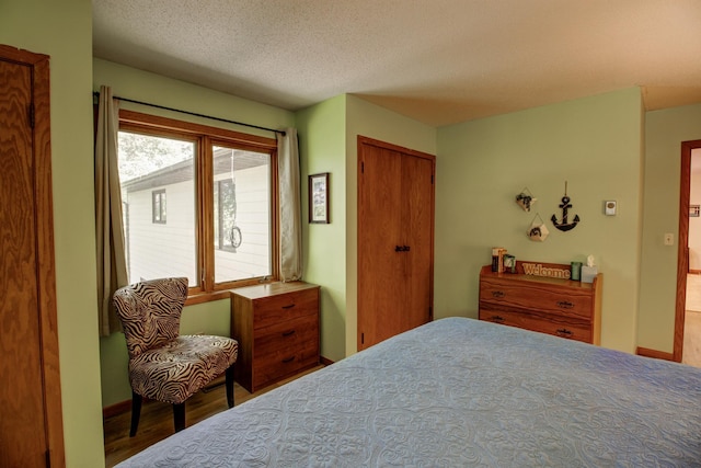 305 Birch Briar Ln, Park Rapids, MN 56470 - bedroom with wood finished floors, a textured ceiling, and a closet