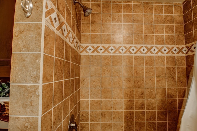 305 Birch Briar Ln, Park Rapids, MN 56470 - bathroom featuring a tile shower
