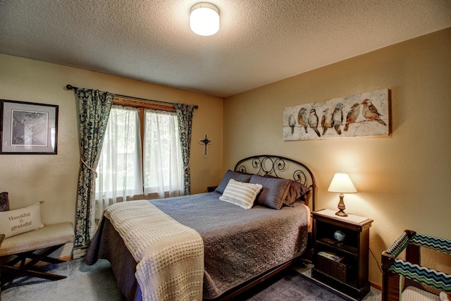 305 Birch Briar Ln, Park Rapids, MN 56470 - bedroom with carpet flooring and a textured ceiling