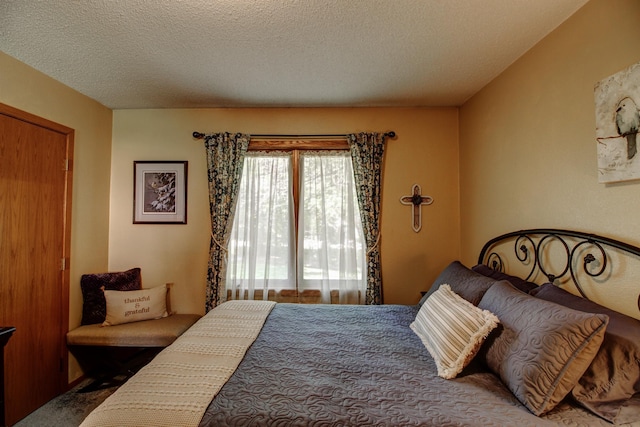 305 Birch Briar Ln, Park Rapids, MN 56470 - bedroom with carpet floors and a textured ceiling