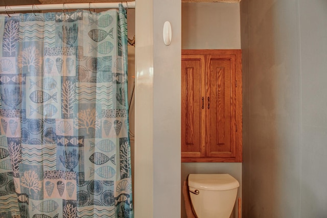 305 Birch Briar Ln, Park Rapids, MN 56470 - full bath featuring toilet and a shower with curtain