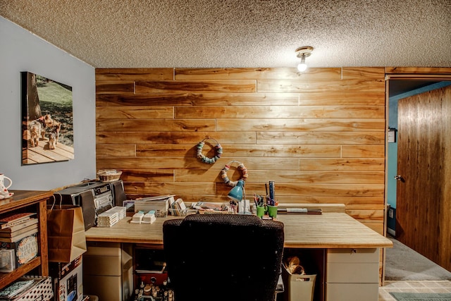 305 Birch Briar Ln, Park Rapids, MN 56470 - carpeted office space with a textured ceiling