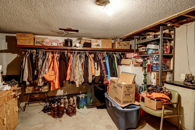 305 Birch Briar Ln, Park Rapids, MN 56470 - view of walk in closet