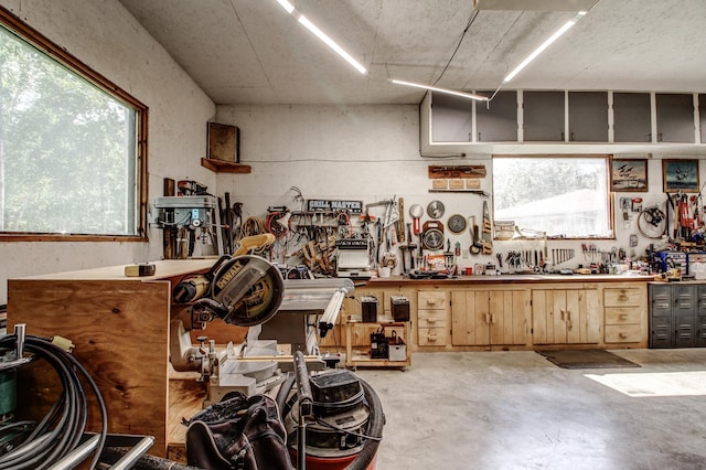 305 Birch Briar Ln, Park Rapids, MN 56470 - garage featuring a workshop area