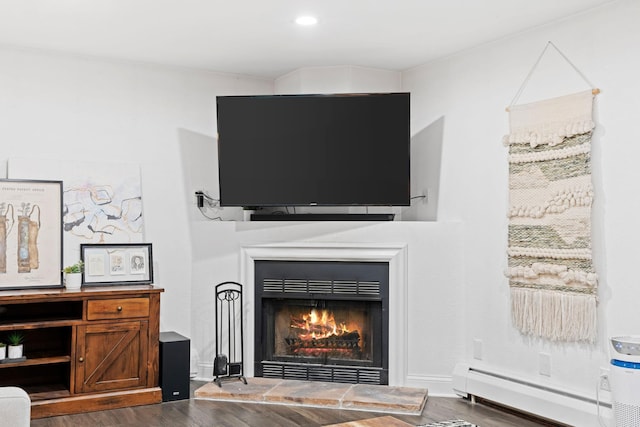 3850 Plymouth Blvd Unit 212, Plymouth, MN 55446 - detailed view of wood finished floors, a baseboard radiator, and a lit fireplace