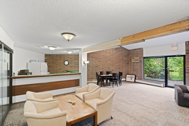 3850 Plymouth Blvd Unit 212, Plymouth, MN 55446 - carpeted living area featuring a textured ceiling, a baseboard radiator, and brick wall