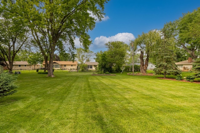 3940 Virginia Ave N, New Hope, MN 55427 - view of grassy yard