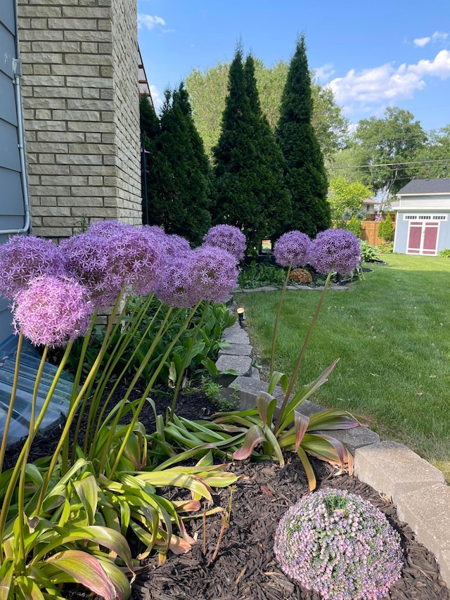3940 Virginia Ave N, New Hope, MN 55427 - view of grassy yard