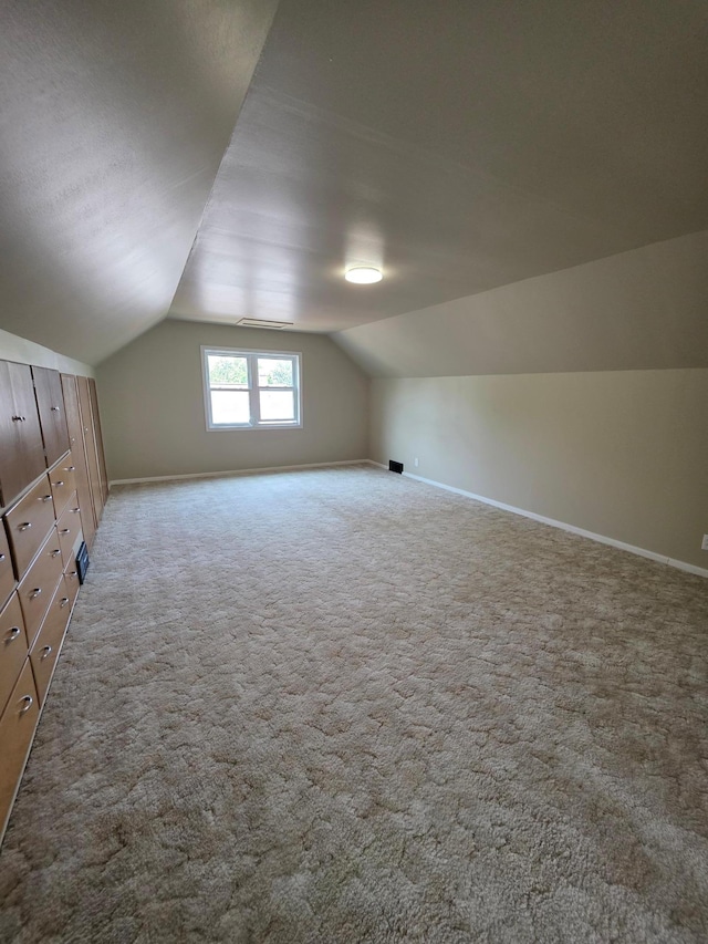 2512 7th Ave E, Hibbing, MN 55746 - additional living space with vaulted ceiling and carpet floors