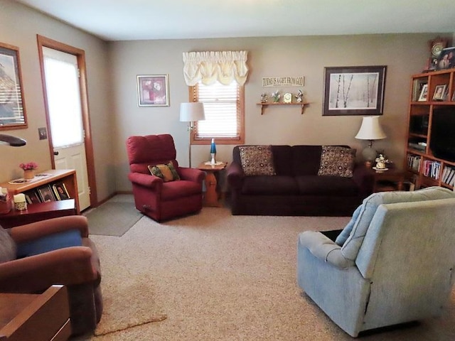 1223 Elizabeth Ave N, Thief River Falls, MN 56701 - view of carpeted living area