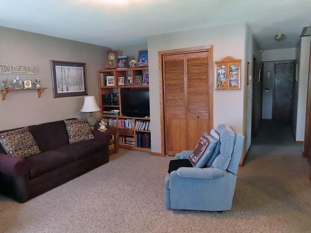 1223 Elizabeth Ave N, Thief River Falls, MN 56701 - view of carpeted living area