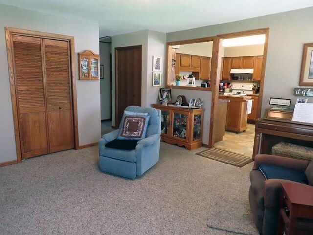 1223 Elizabeth Ave N, Thief River Falls, MN 56701 - living room featuring light colored carpet