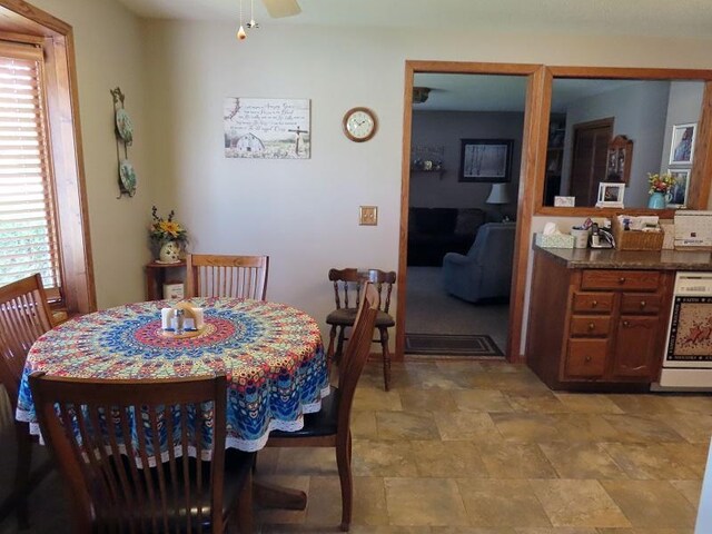 1223 Elizabeth Ave N, Thief River Falls, MN 56701 - dining room with plenty of natural light, stone finish flooring, and a ceiling fan