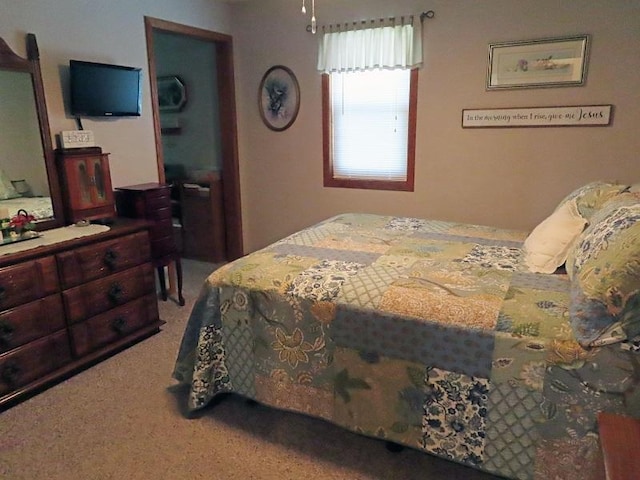 1223 Elizabeth Ave N, Thief River Falls, MN 56701 - bedroom featuring carpet