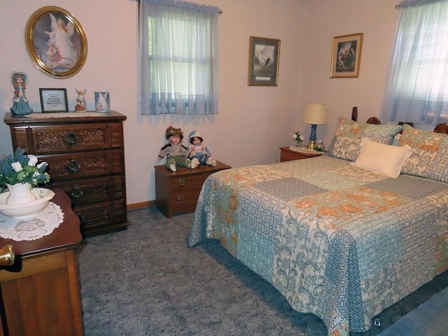 1223 Elizabeth Ave N, Thief River Falls, MN 56701 - carpeted bedroom with multiple windows
