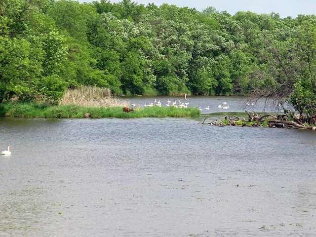 1223 Elizabeth Ave N, Thief River Falls, MN 56701 - water view featuring a forest