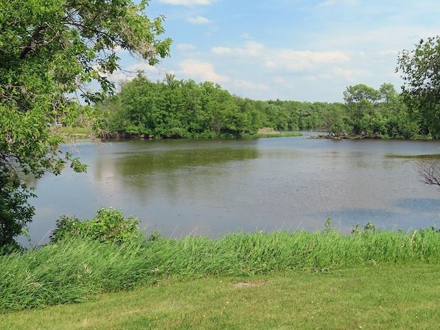 1223 Elizabeth Ave N, Thief River Falls, MN 56701 - water view with a forest