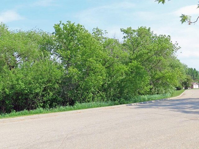 1223 Elizabeth Ave N, Thief River Falls, MN 56701 - view of asphalt street featuring curbs