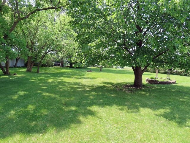 1223 Elizabeth Ave N, Thief River Falls, MN 56701 - view of green lawn