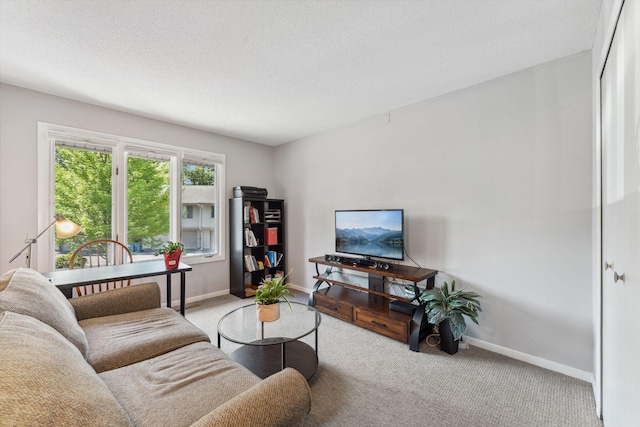 6368 Pheasant Ct, Edina, MN 55436 - carpeted living area with baseboards and a textured ceiling