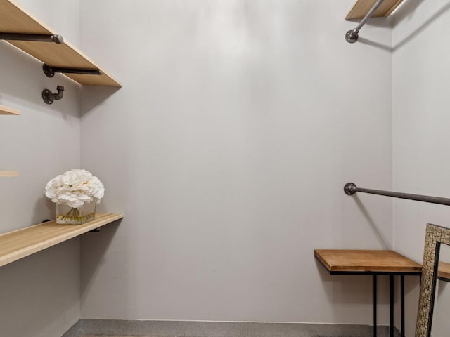 730 Stinson Blvd Unit 106, Minneapolis, MN 55413 - spacious closet with carpet flooring