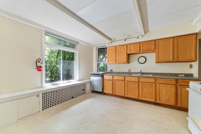 1511 4th St, Duluth, MN 55812 - kitchen with dishwasher, a sink, plenty of natural light, and brown cabinetry