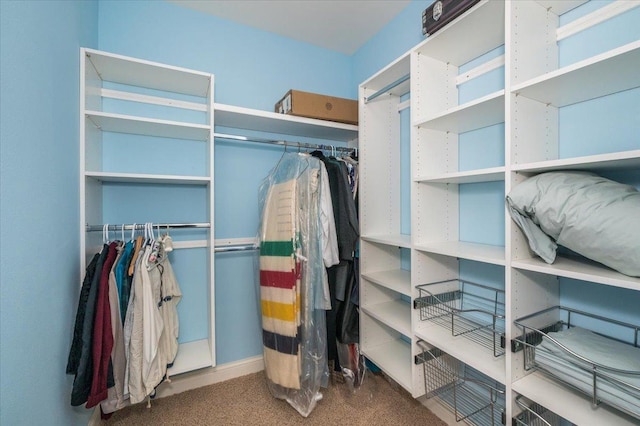 1753 Old N Shore Rd, Duluth Twp, MN 55804 - walk in closet featuring carpet