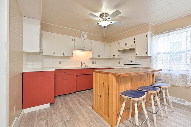 409 3rd St, Bovey, MN 55709 - kitchen with a sink, range, ceiling fan, light wood-type flooring, and crown molding