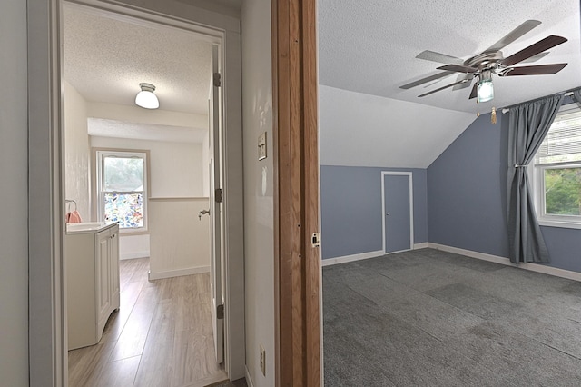 409 3rd St, Bovey, MN 55709 - additional living space featuring a textured ceiling, a ceiling fan, baseboards, vaulted ceiling, and a sink