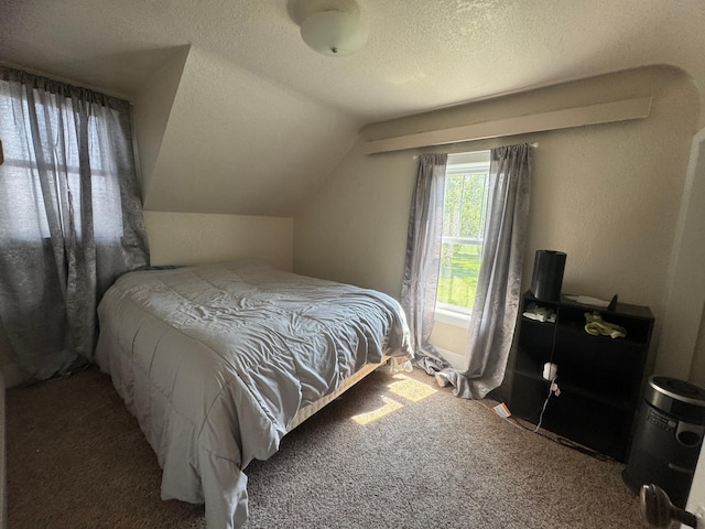 2977 State Highway 68, Marshall, MN 56258 - bedroom featuring a textured ceiling, carpet, and vaulted ceiling