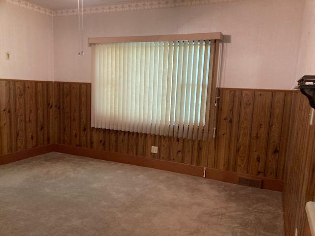 201 Cherry St, Lowry, MN 56349 - unfurnished room with wood walls, carpet floors, and wainscoting